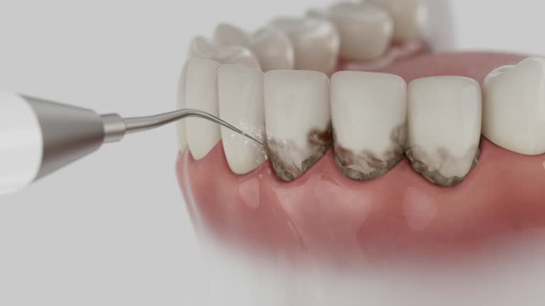 Reliable Dental contractor in Avalon, NJ by Dentist Open Now